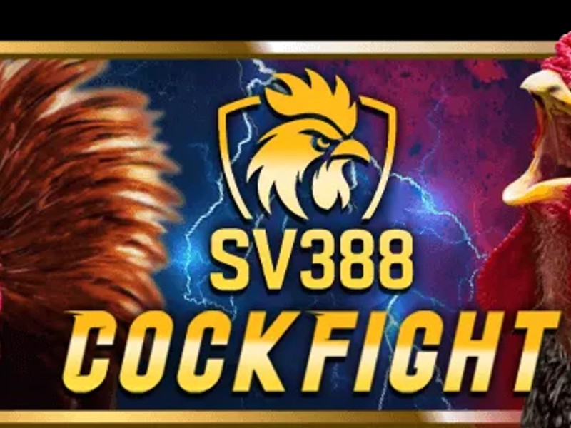 Nền tảng đá gà và xổ số truyền thống